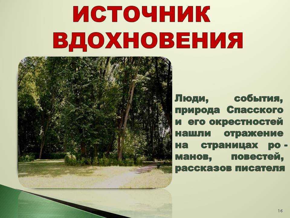 Самые популярные краски для стен на 2023 : виды , производители)год
