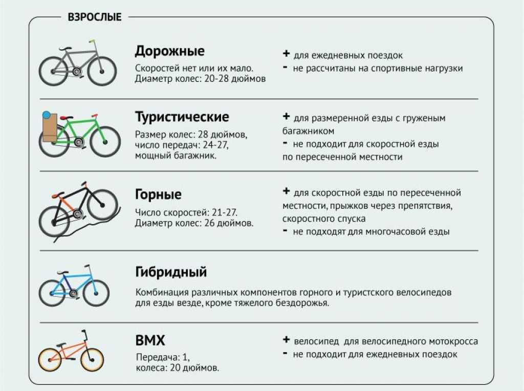 Рейтинг лучших колясок для новорожденных за 2019-2020 годы