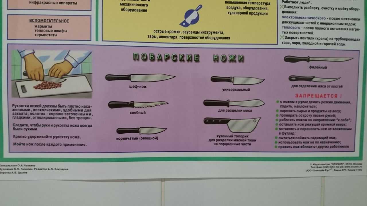 Правильный выбор кухонного ножа: все нюансы