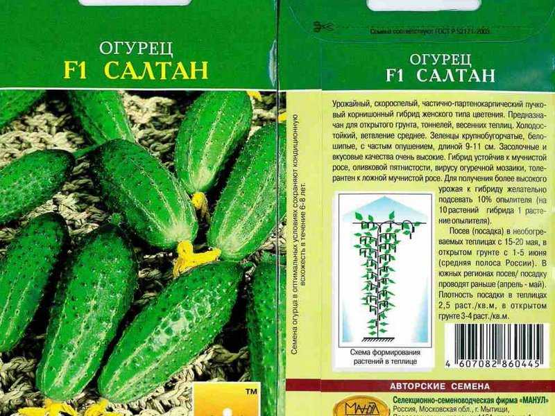 Лучшие сорта огурцов для открытого грунта: в подмосковье, для средней полосы россии, для сибири