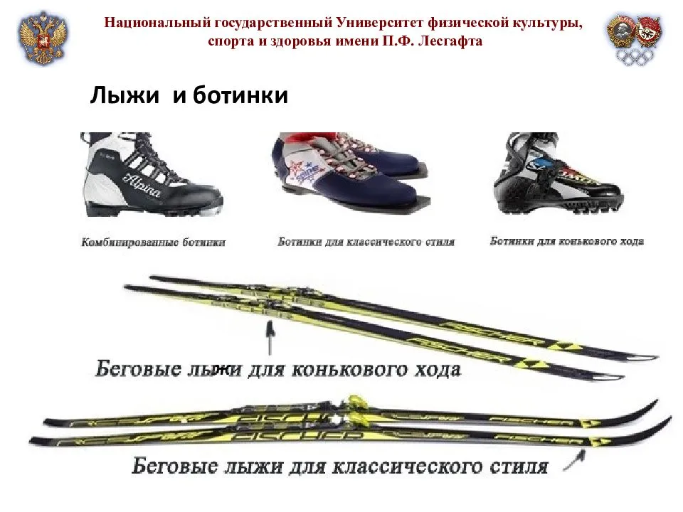 Как выбрать горные лыжи и не попасть впросак!