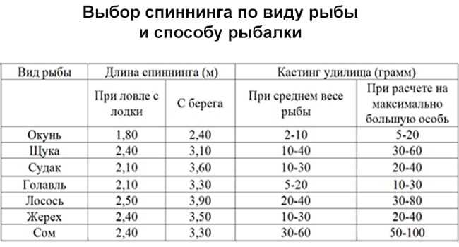 Рейтинг спиннингов для джига