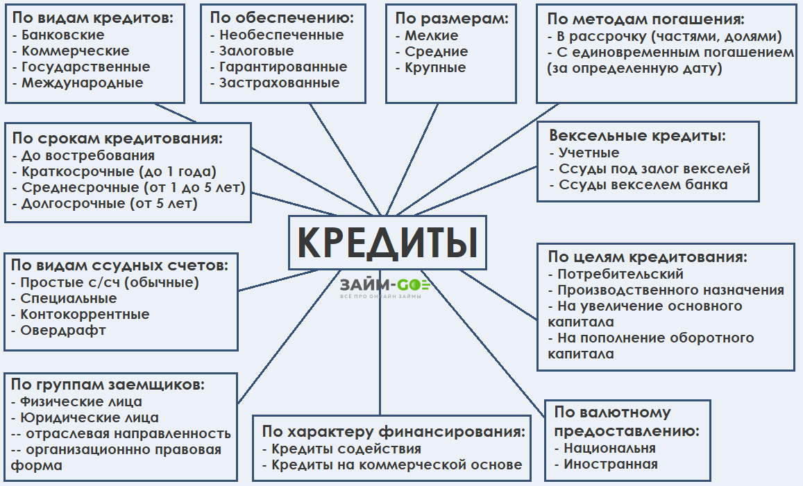 Отличия займа от кредита