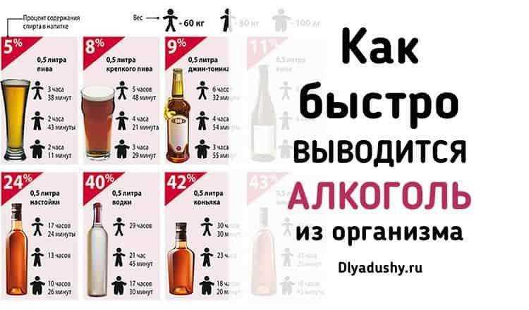 Алкоголь в крови сколько держится: время выветривания, таблица.