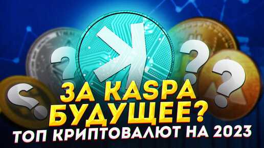 Лучшие видеокарты для майнинга
