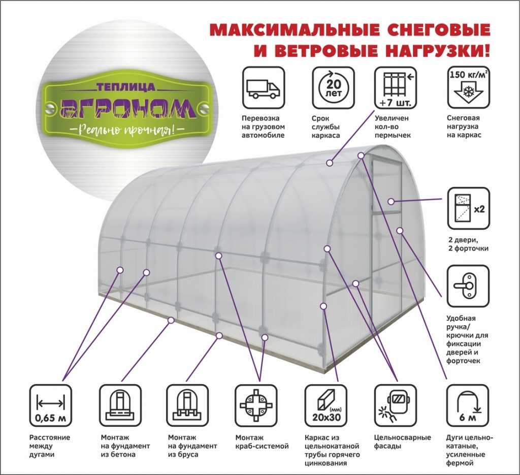 Что выгодно выращивать в теплице на продажу? - технология бизнеса