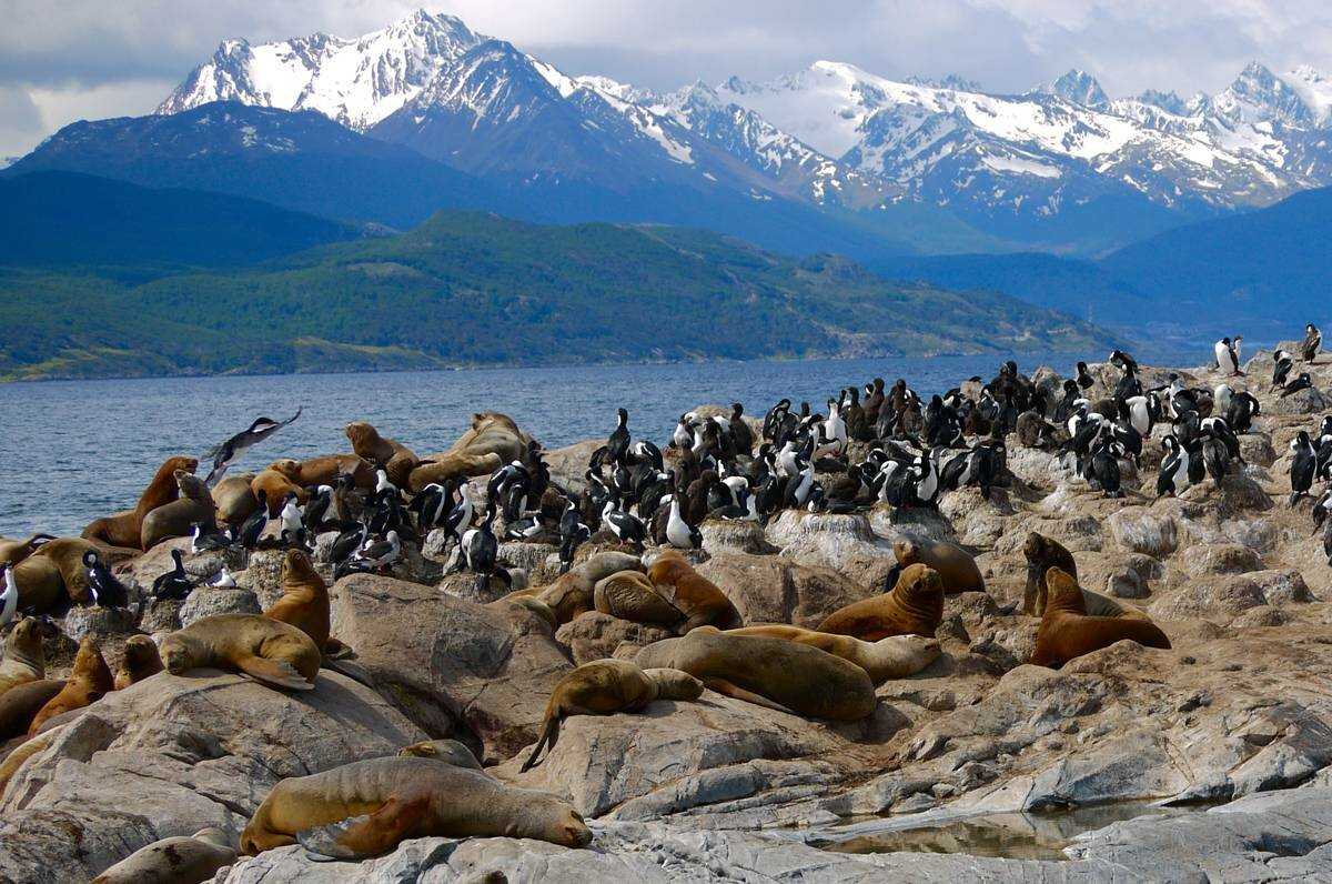 Tierra del fuego