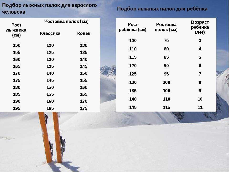 Как правильно выбрать лыжи ребенку и взрослому, подбор лыж по росту?