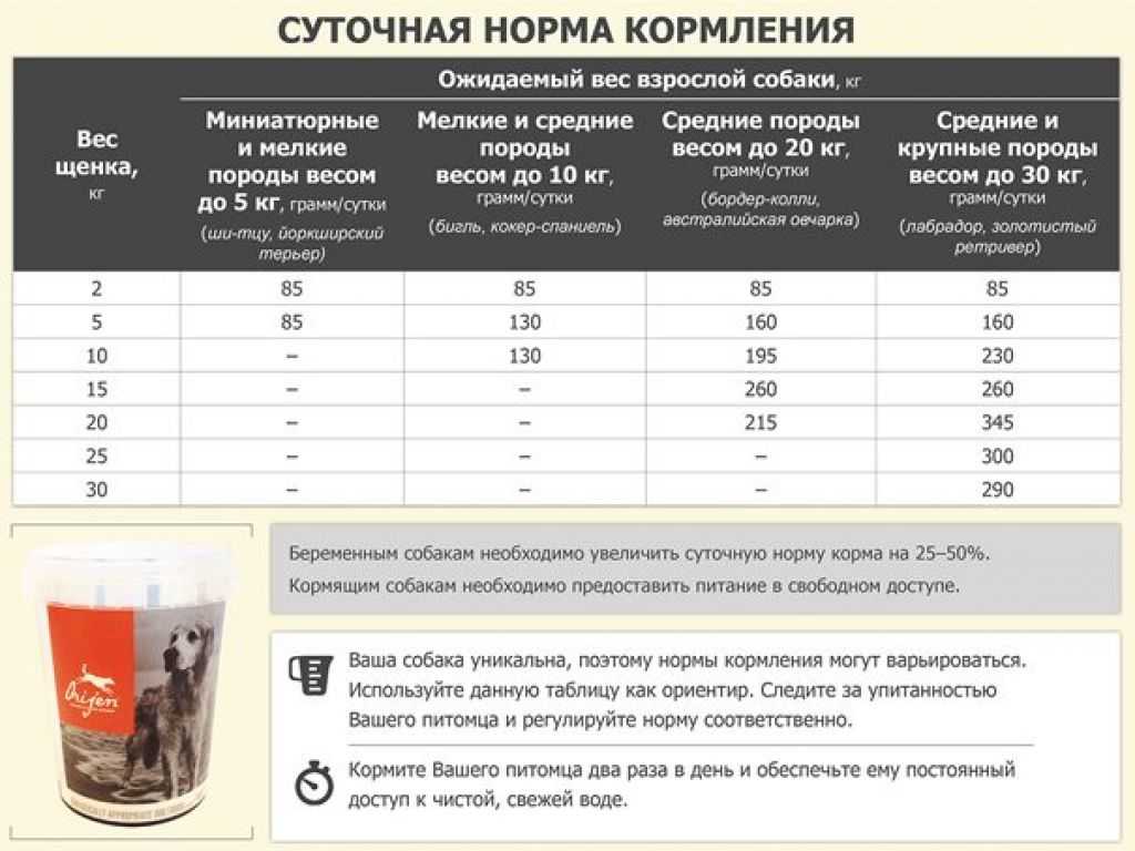 Классы кормов для собак
