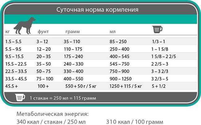 Мнение и рекомендации ветеринаров: какой корм для собак самый хороший?