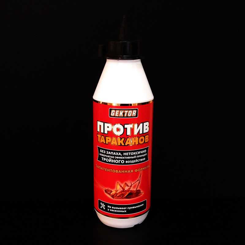 Средство от тараканов - какое самое лучшее и эффективное: народные и покупные