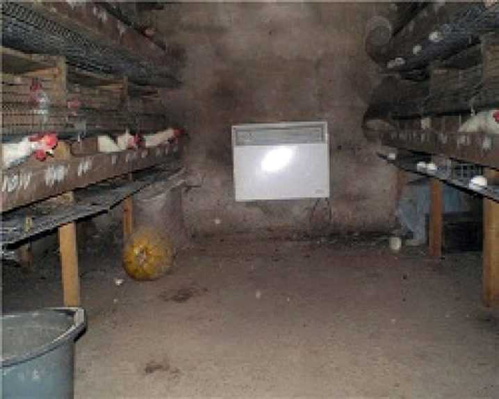 Обогрев курятника зимой без электричества своими руками: методы обогрева