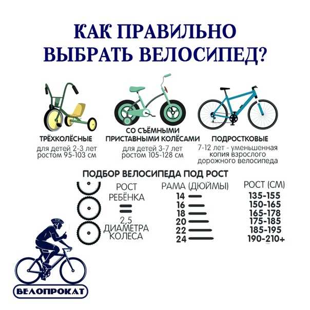 Топ-10 лучших детских велосипедов – рейтинг 2023 года