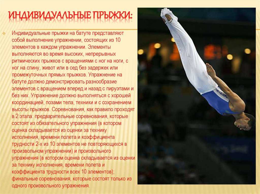 Как выбрать батут, разновидности, важные характеристики, производители