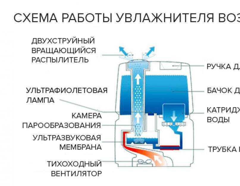Как работает увлажнитель воздуха