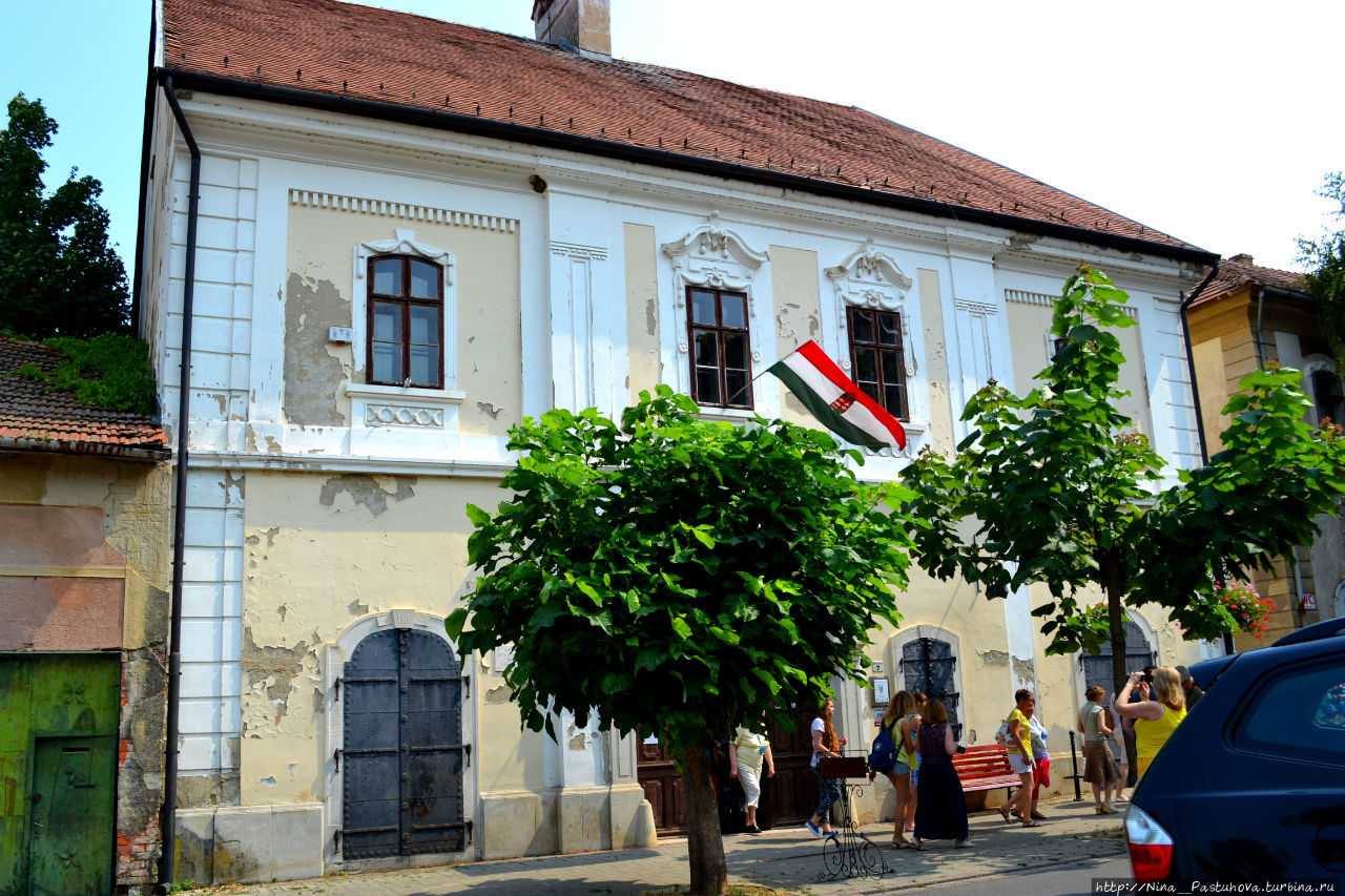 ᐉ токайские вина - roza-zanoza.ru