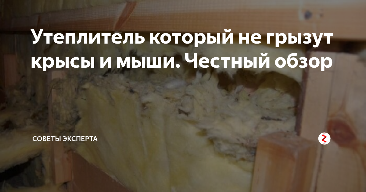 Новинка на рынке теплоизоляторов – утеплитель, который не грызут крысы и мыши