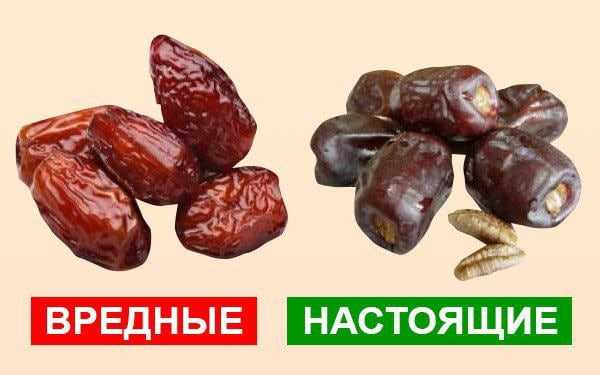 Финики: польза и вред для организма, сколько нужно съесть в день