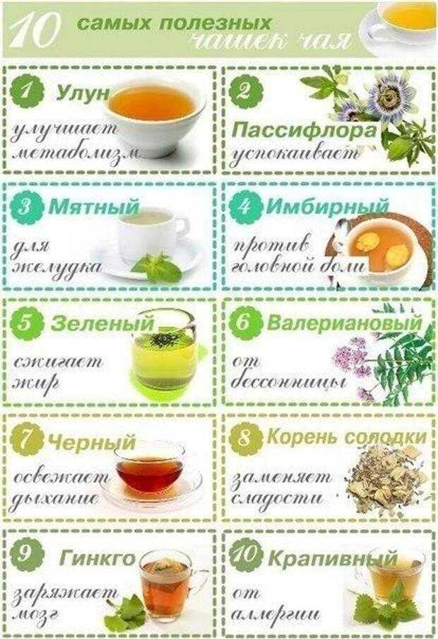 Что пить вместо обычного чая и кофе: 10 полезных альтернатив по исконно русским традициям