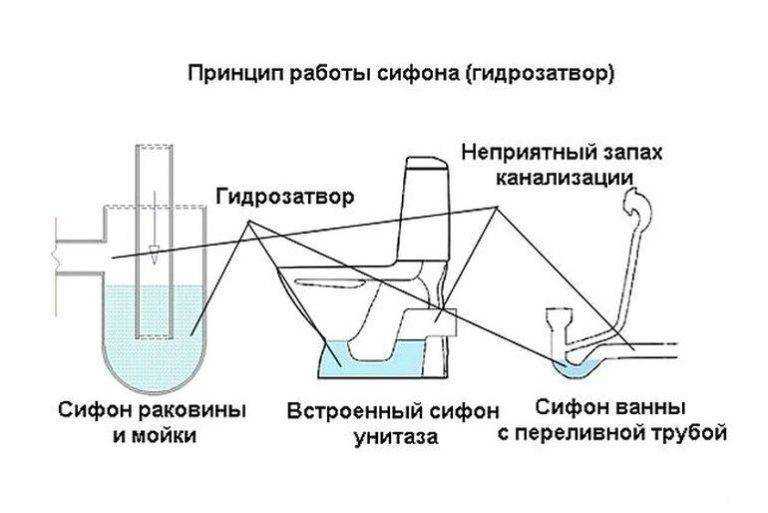 Почему пахнет канализацией в частном доме: основные причины, как устранить засоры- обзор +видео