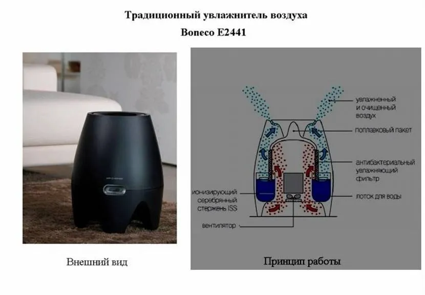 Как работает увлажнитель воздуха для дома: виды и основные функции