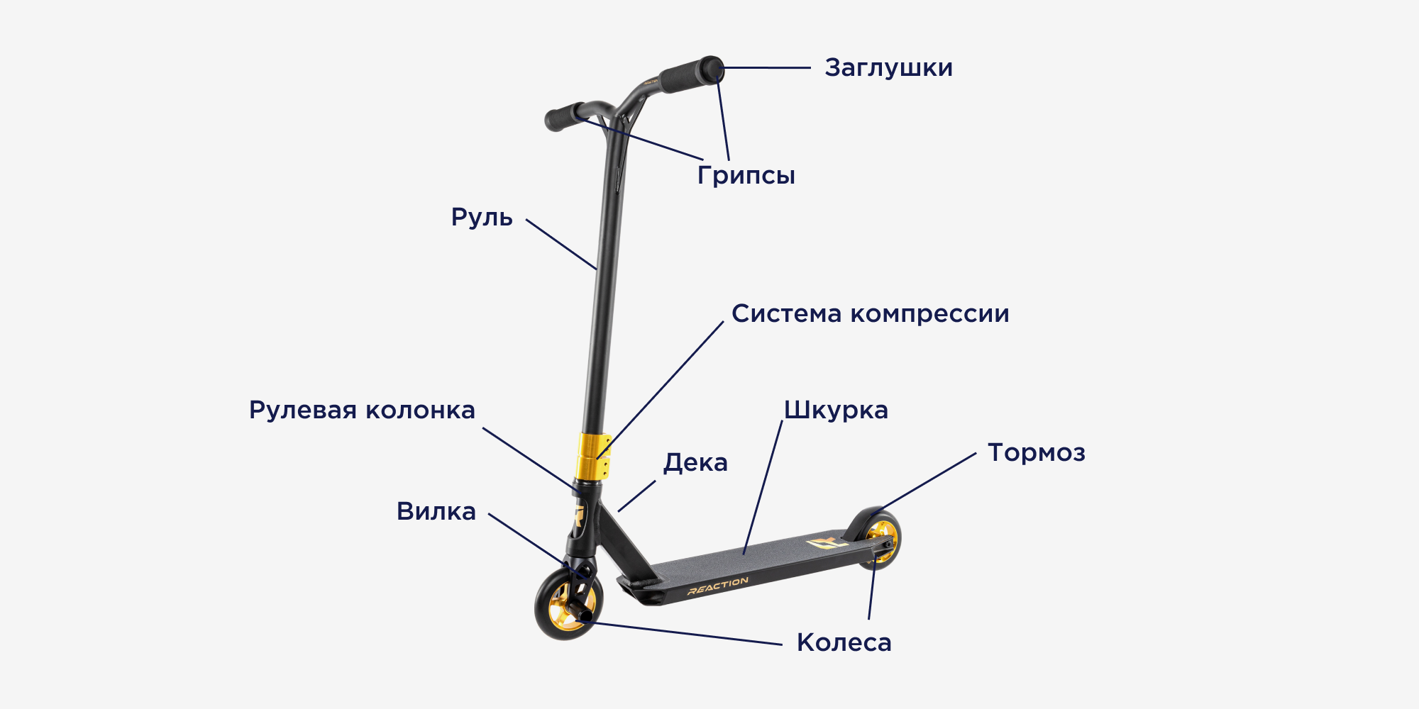 Как выбрать самокат детям и взрослым: на что обратить внимание при выборе