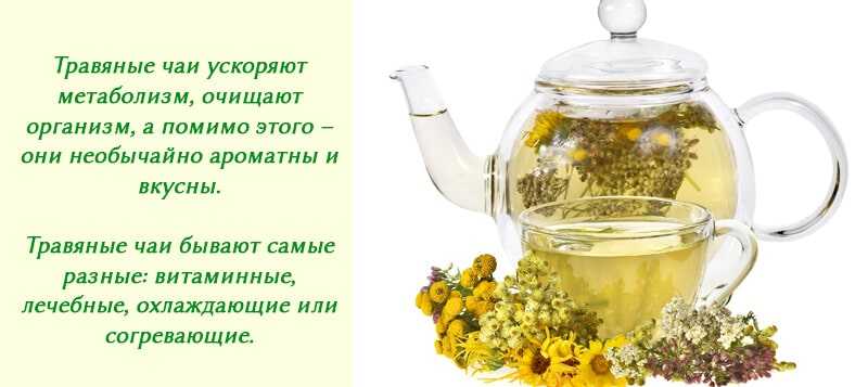 Чем заменить кофе? | 8 самых популярных заменителей кофе