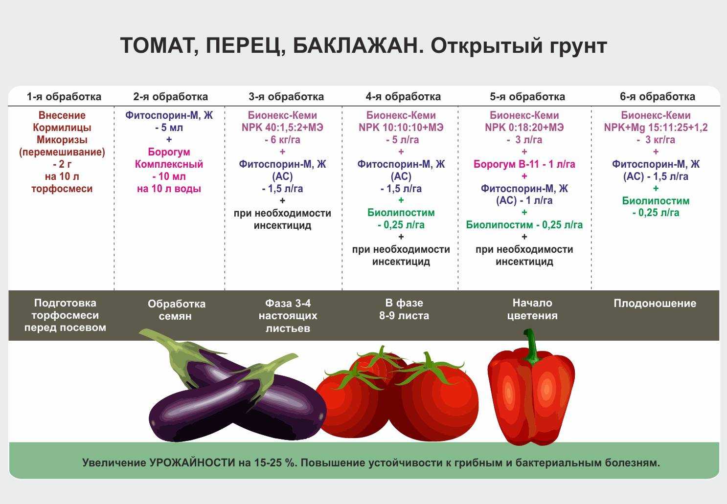 Низкорослые томаты – лучшие сорта помидор для открытого грунта