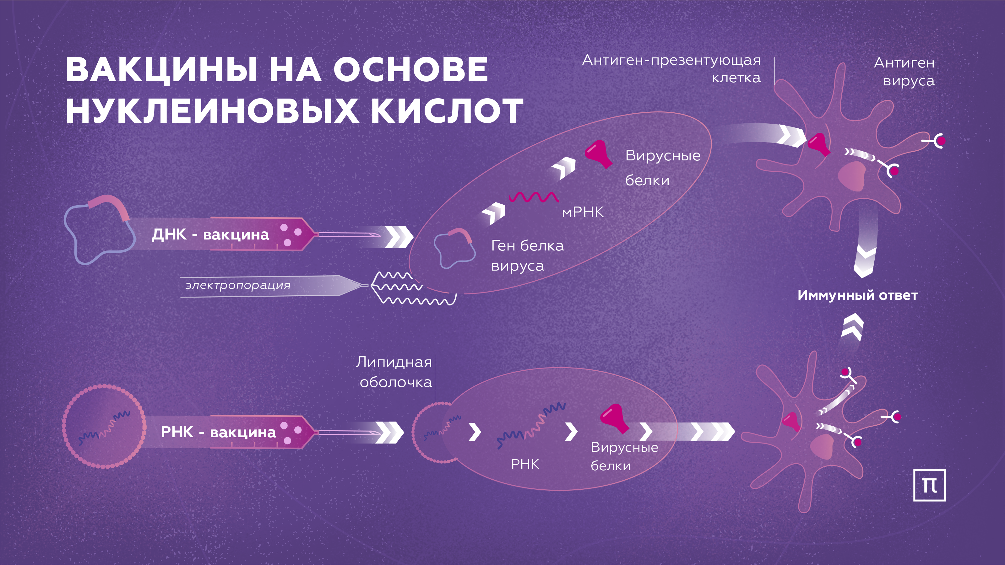 Ревакцинация от covid-19: 15 самых главных вопросов. официальная информация