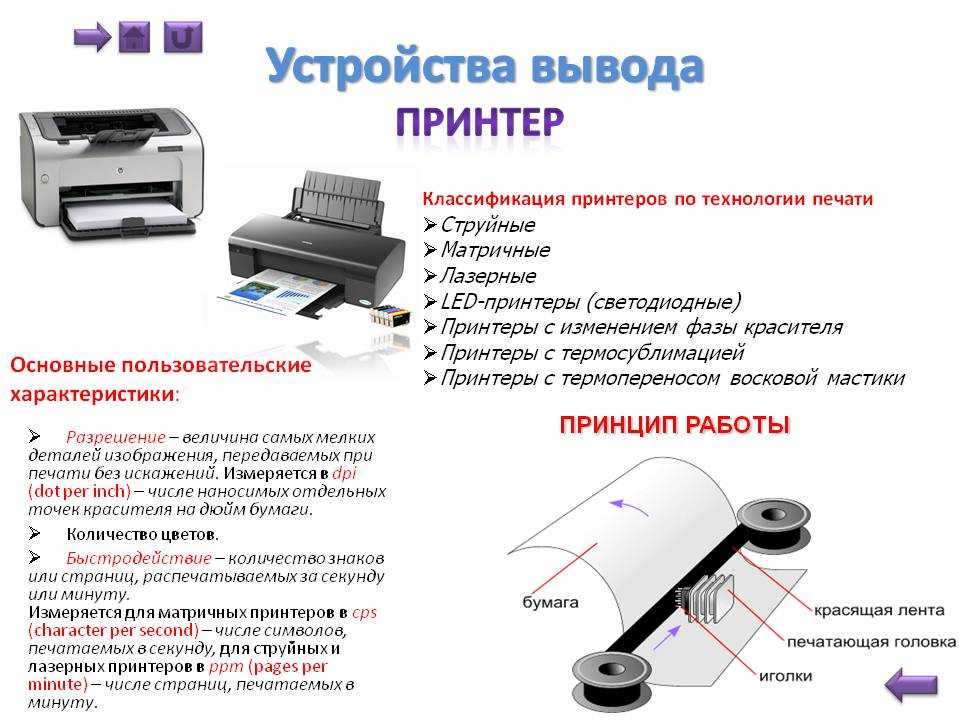 Топ-8 самых экономичных принтеров на 2023 год в рейтинге zuzako