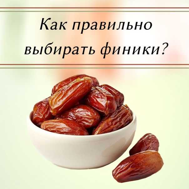 Финики - полезные свойства и противопоказания, рецепты