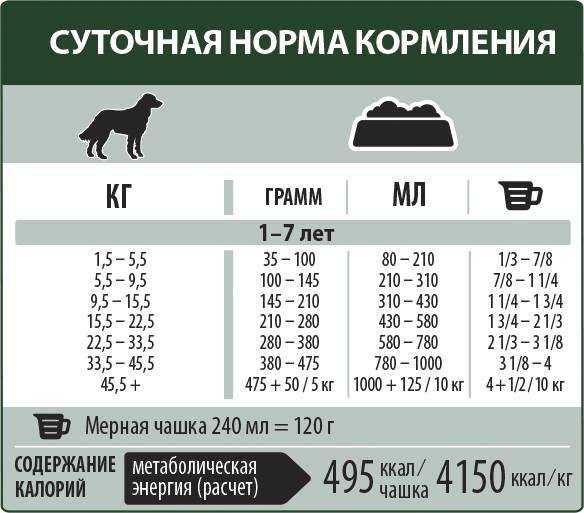 Грамотно подобранный рацион питания — одна из главных причин долголетия любого пса Но как это сделать В статье поговорим о том, как правильно выбрать корм для вашего любимого четвероногого питомца