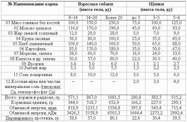 Рацион питания старой собаки – особенности, список кормов