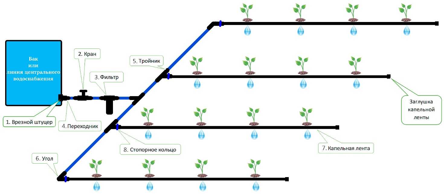7 лучших систем капельного полива 2023. рейтинг, обзор и голосование