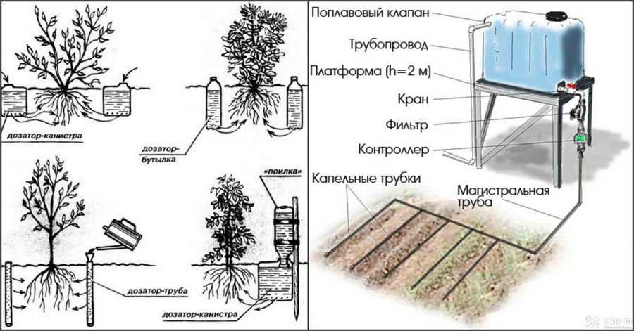 Виды систем полива участка