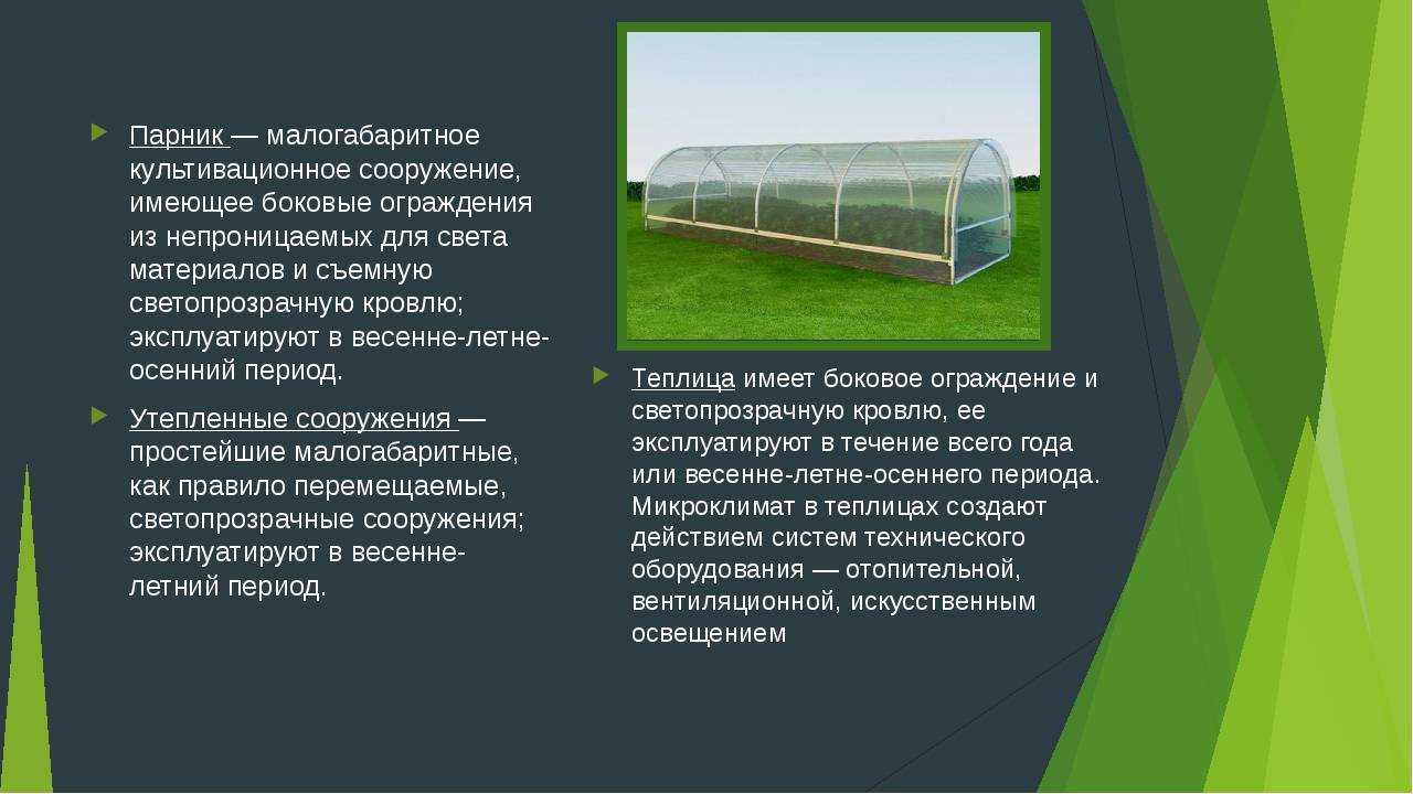 Что выгодно выращивать в теплице на продажу?